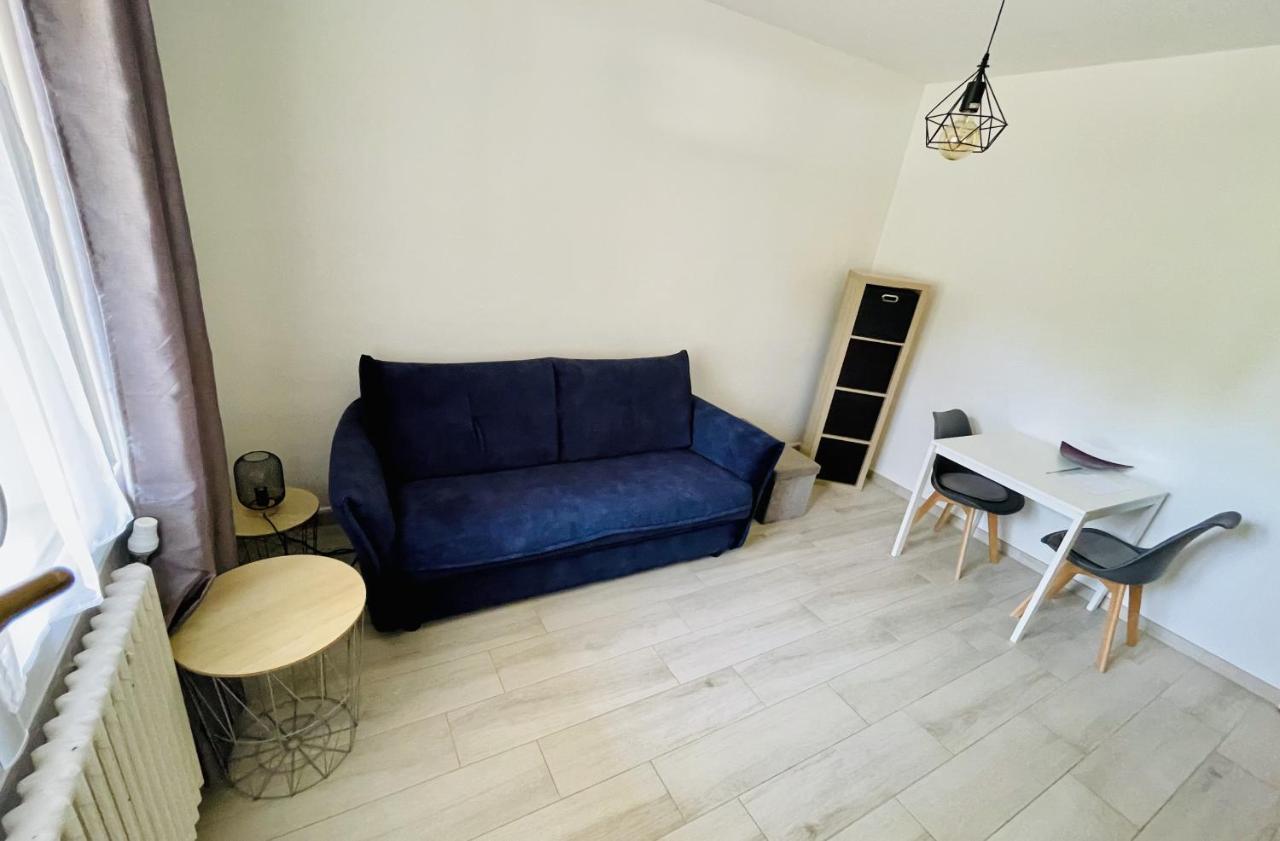 Magnifique Studio Independant Au Rez-De-Chaussee Tassin-la-Demi-Lune Bagian luar foto